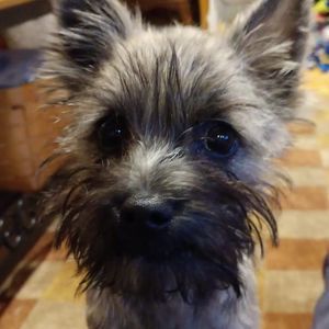 Meet your Posher, Shannon